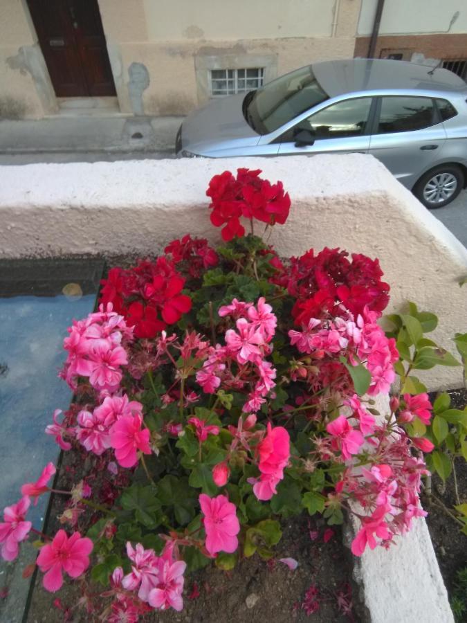 Apartamento Farol de Vida Coímbra Exterior foto